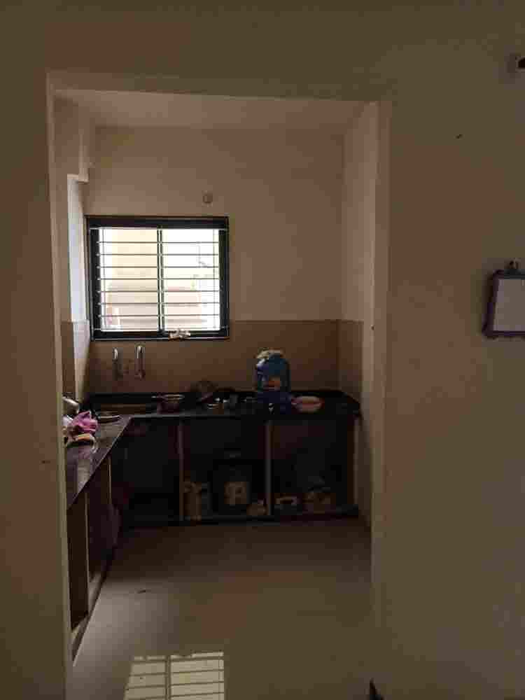 Looking for a Friendly Roommate