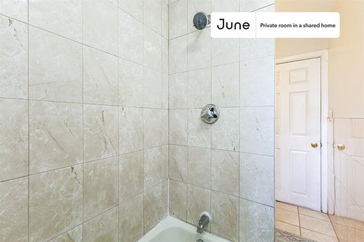 5 BR in Boston