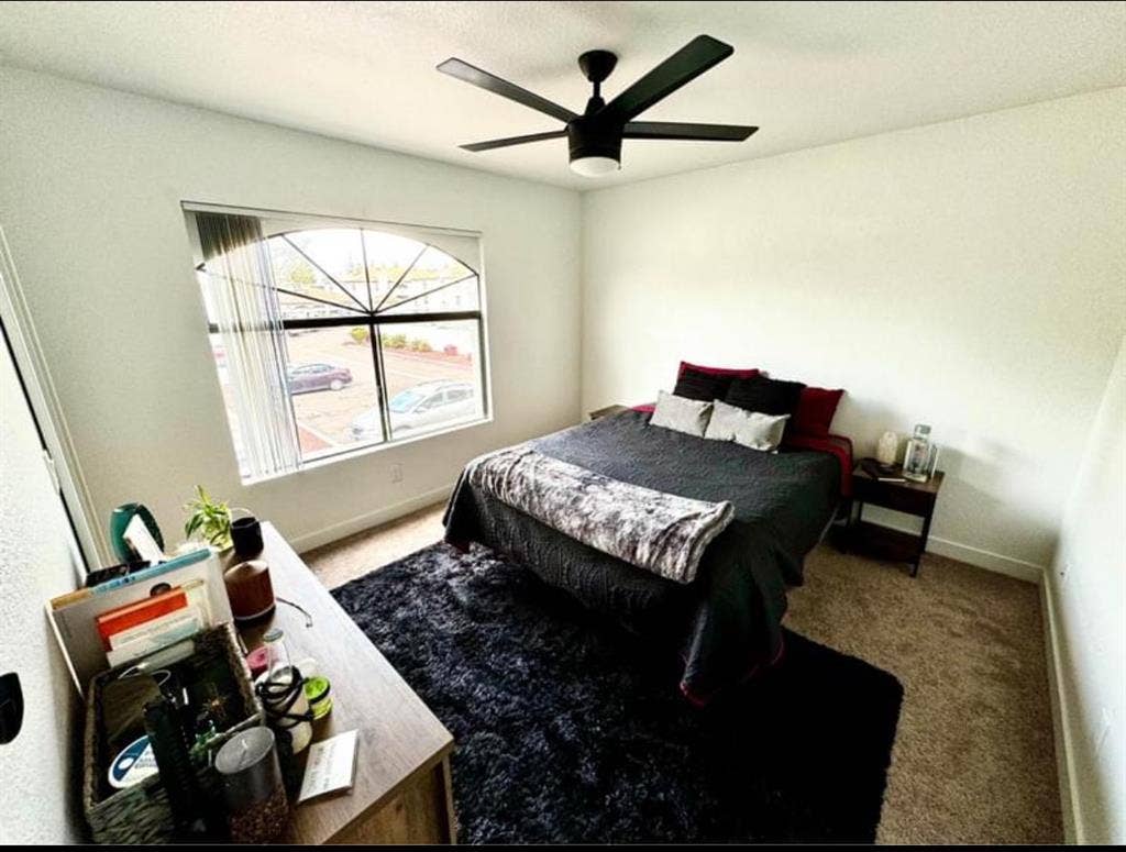 Room for rent in quiet space