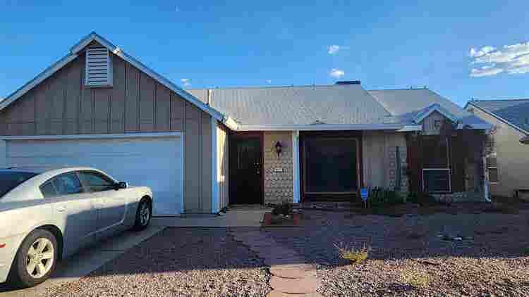 Looking for a roommate