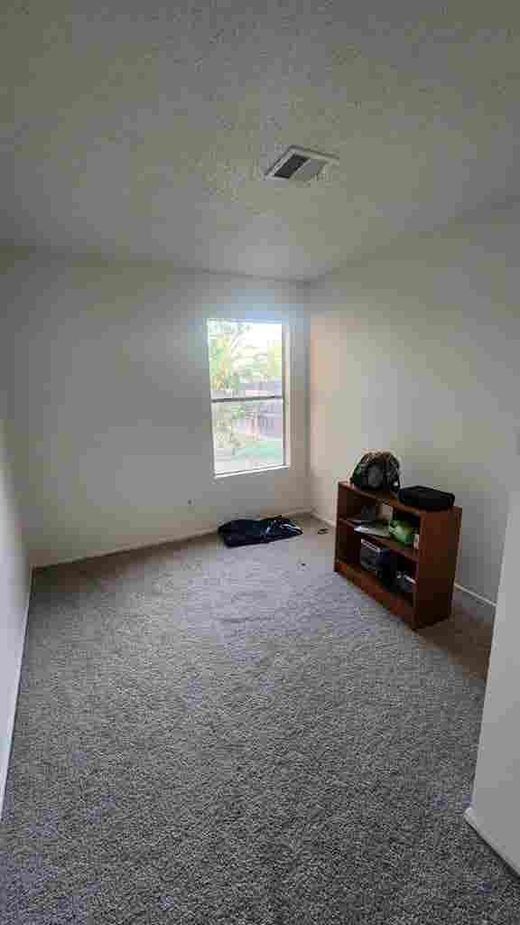 Looking for a roommate