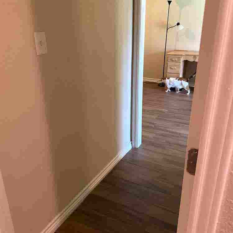 Fully furnished Efficiency