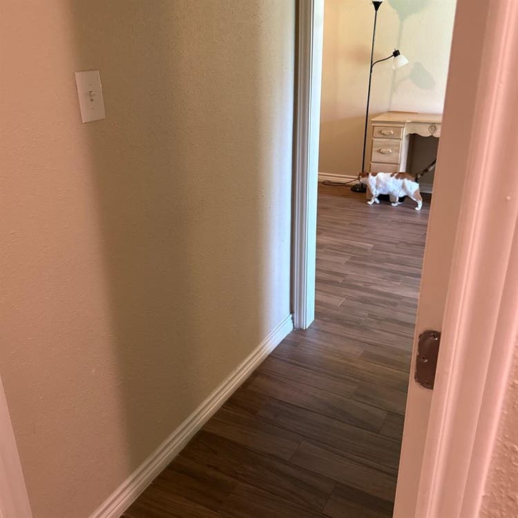 Fully furnished Efficiency