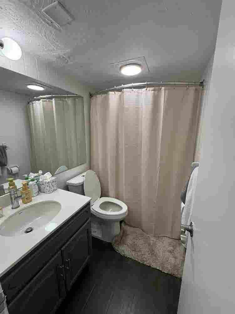 ‼️SPRING  RELET‼️