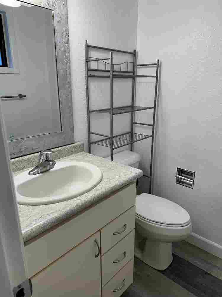 Room & private half bath for rent