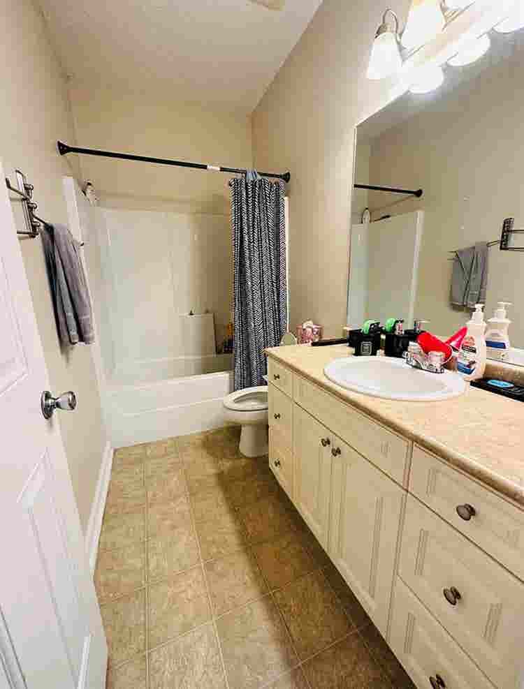 Two Roommates Needed