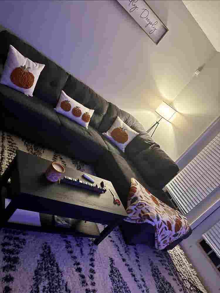 Two Roommates Needed