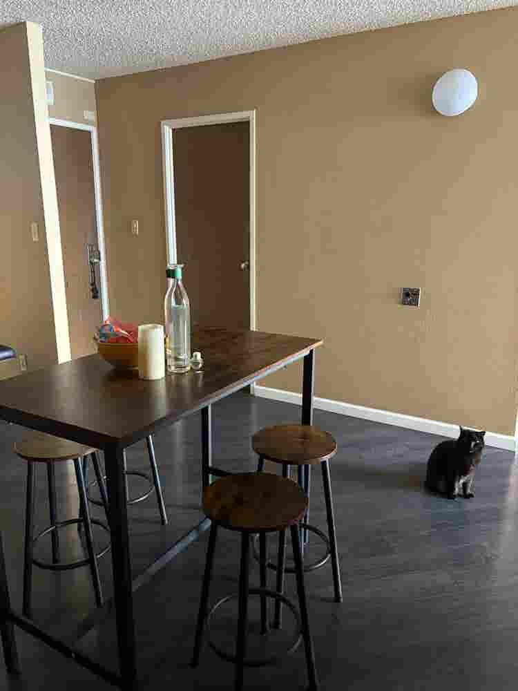 Room in Condo w/ Private Bath