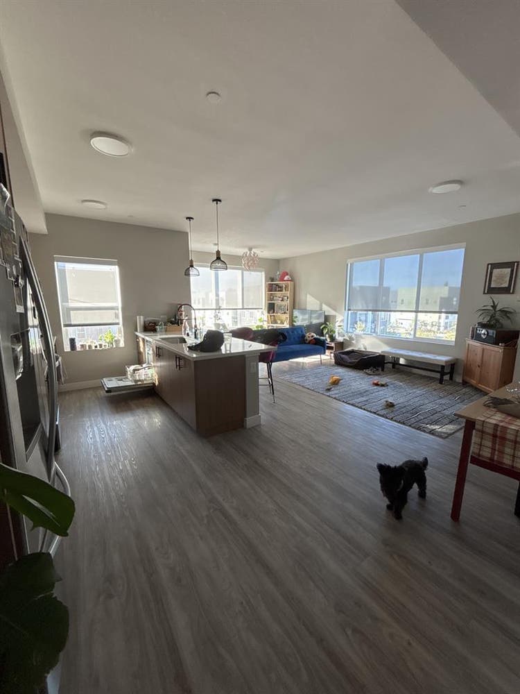 New Listing