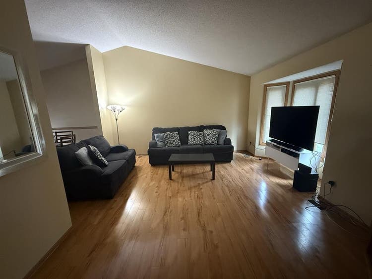 Looking for Roommates