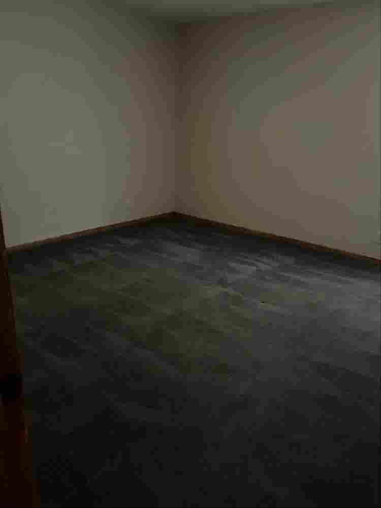 Minnetonka home room for Rent $