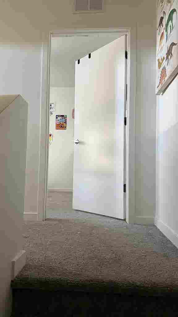 Looking for a roommate