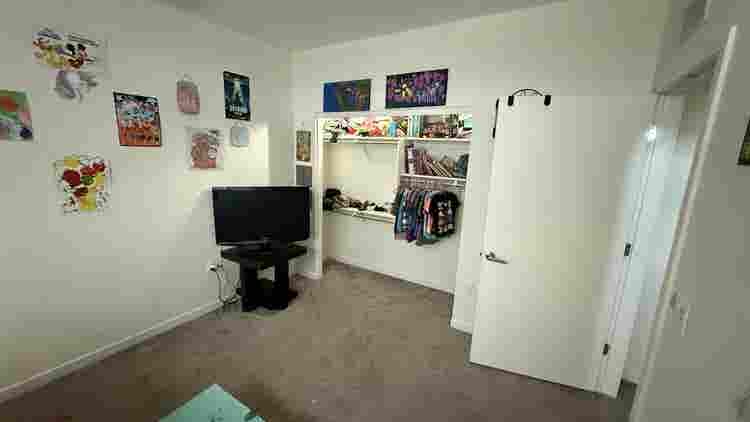 Looking for a roommate
