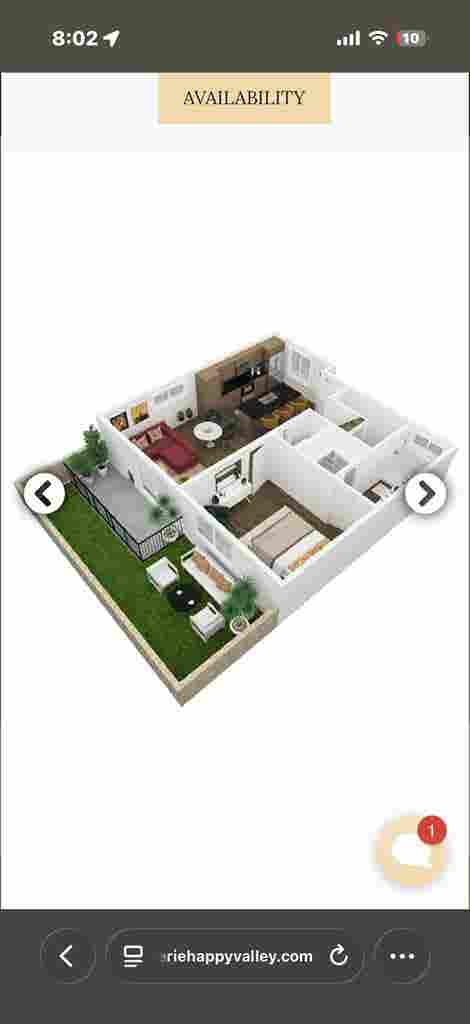 Looking for a roommate