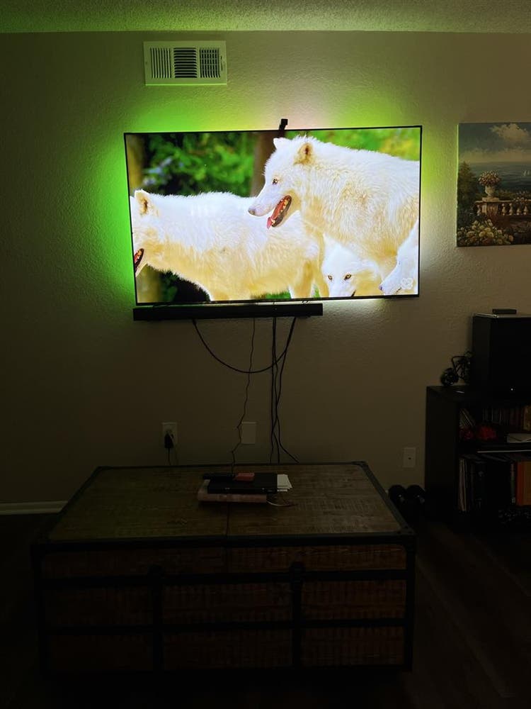 Couple looking for a roommate