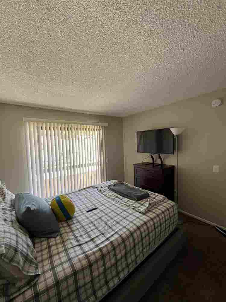 Couple looking for a roommate