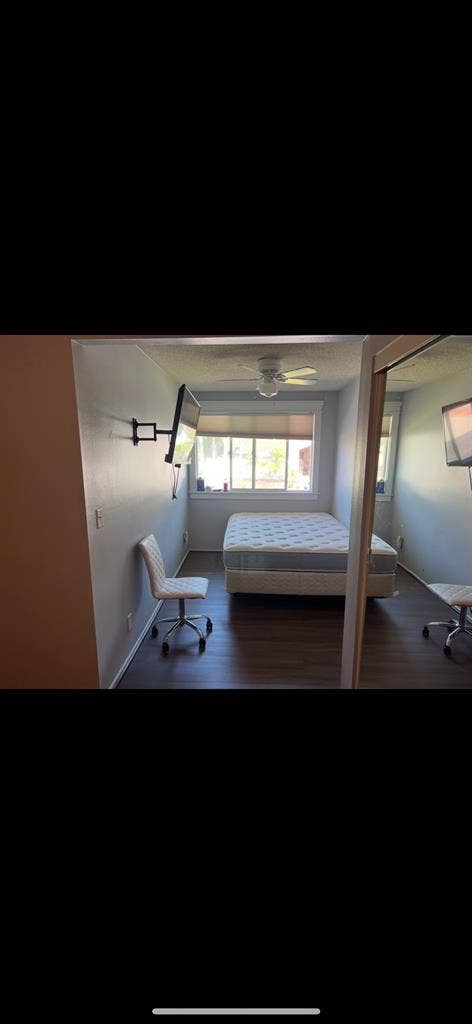 Big Room SafeFemale House no drama