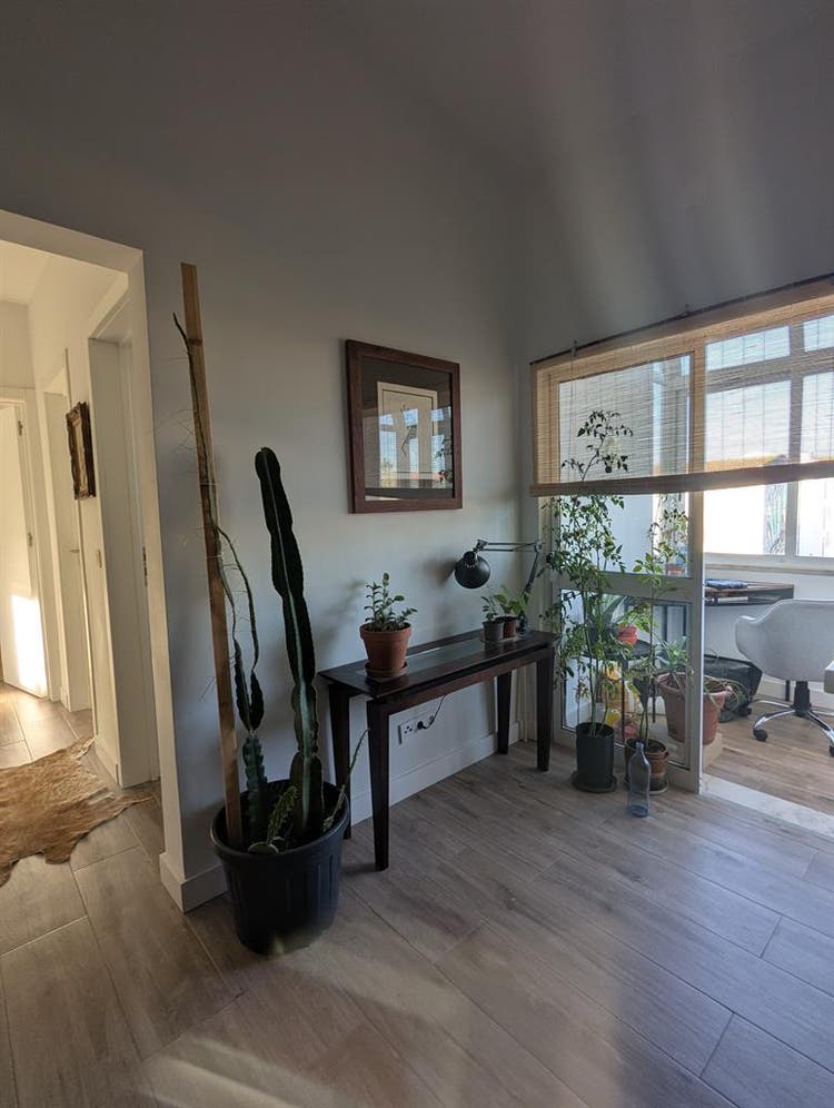 🌱 CO-LIVING OPPORTUNITY in Cascais
