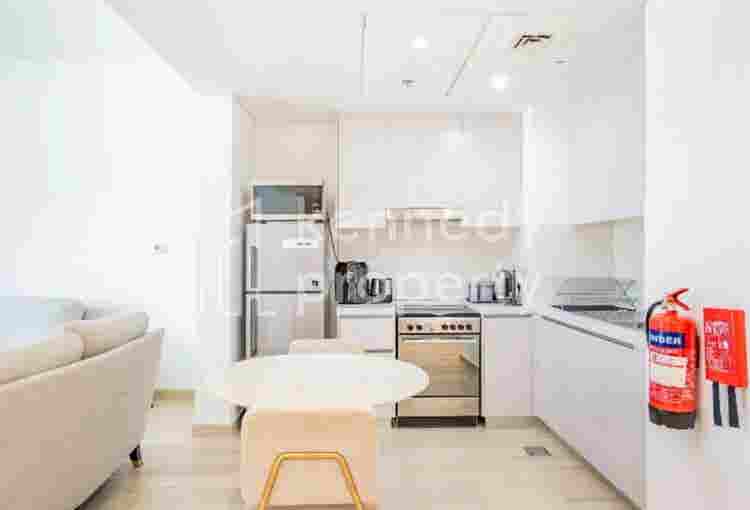 1 BHK fully furnished flat
