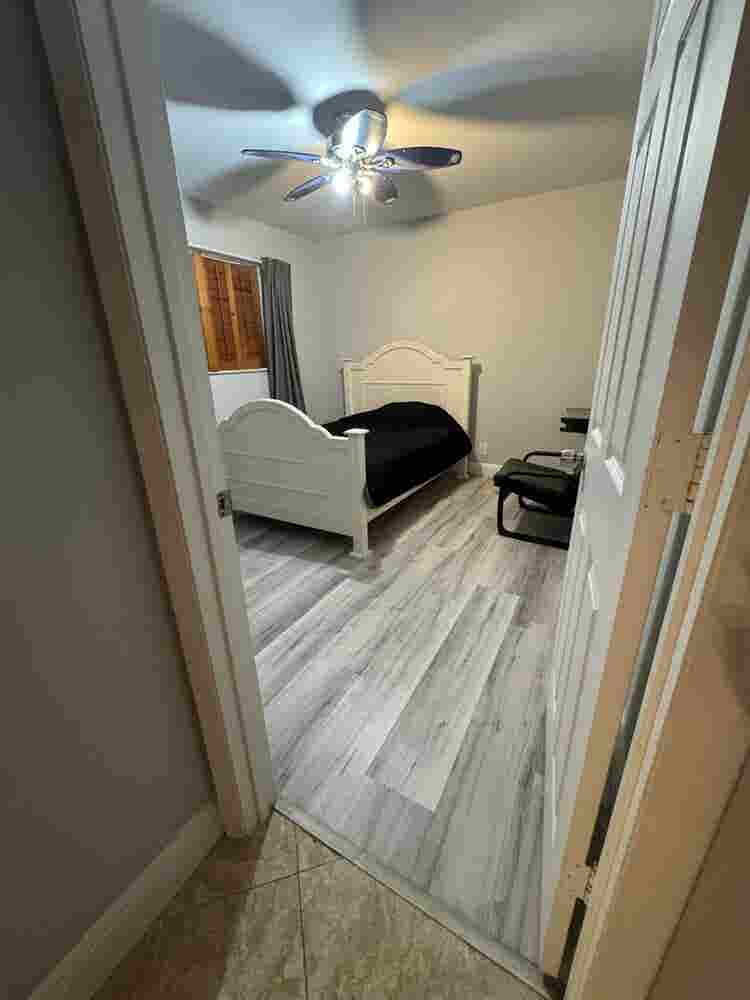 Looking for a roommate