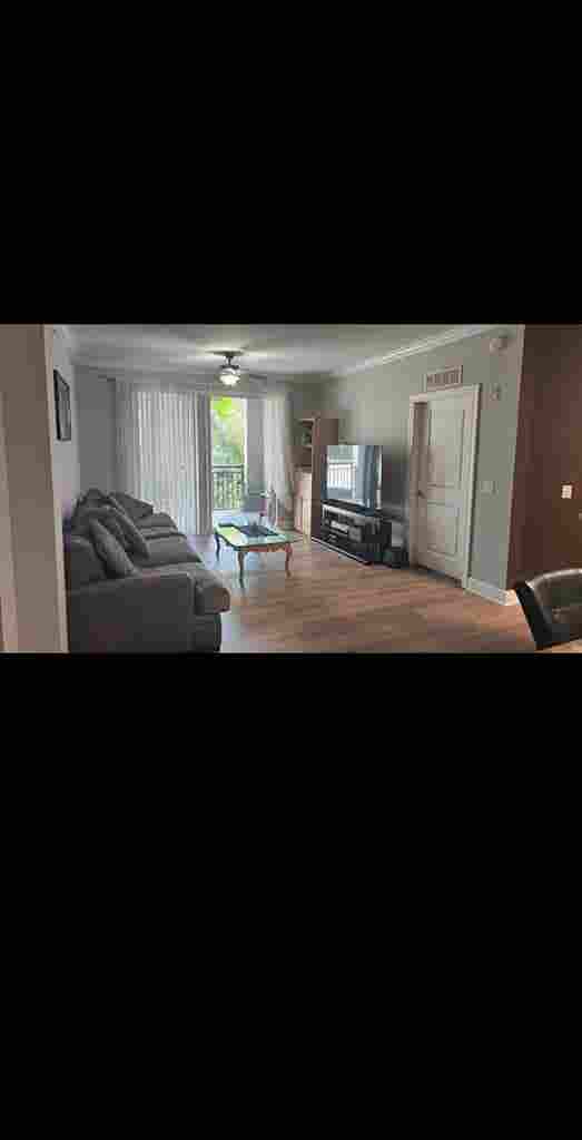 Looking for a roommate