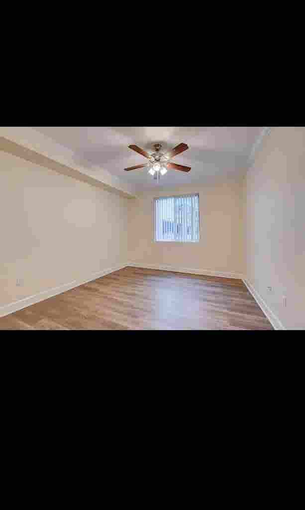 Looking for a roommate