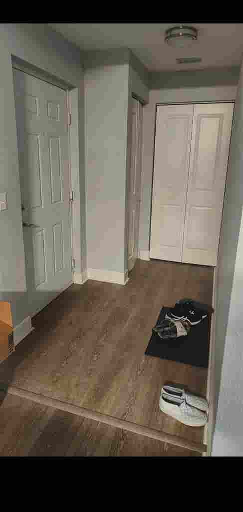 Looking for a roommate