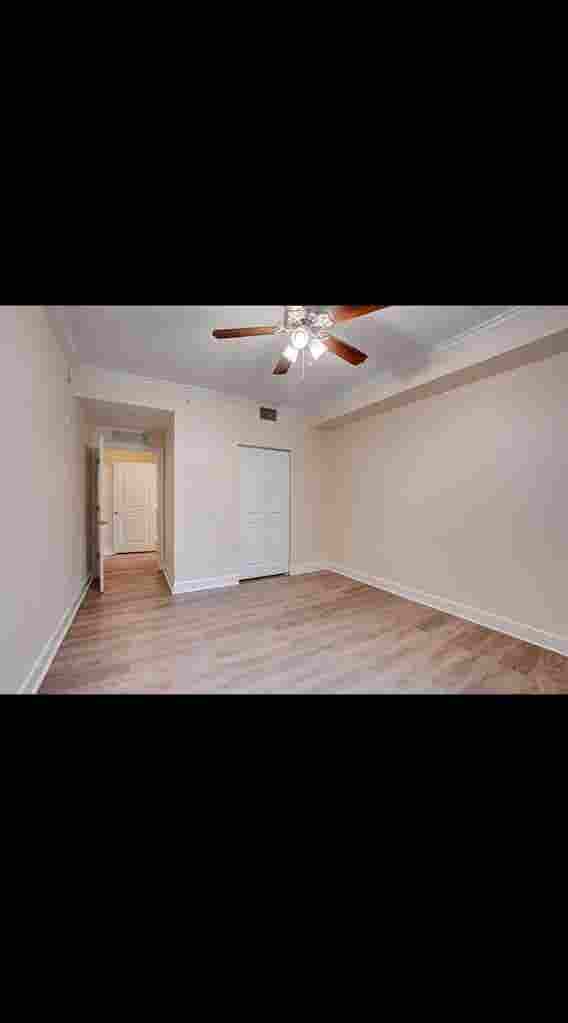Looking for a roommate