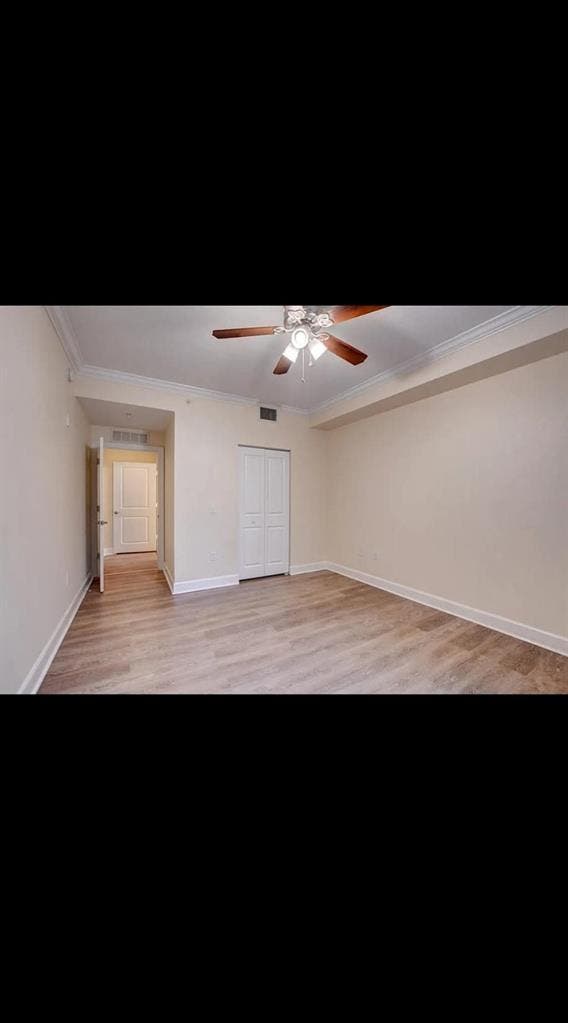 Looking for a roommate
