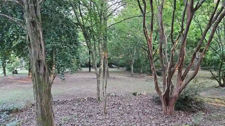 Private home on 5ac wooded property