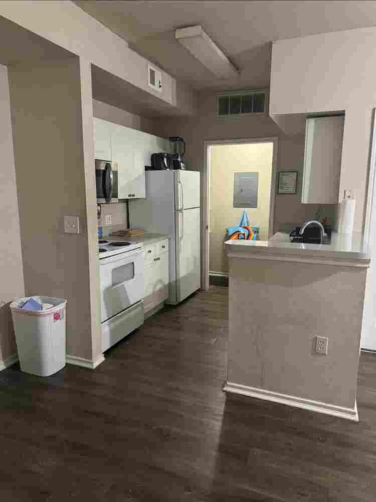 Seeking New Roommatees