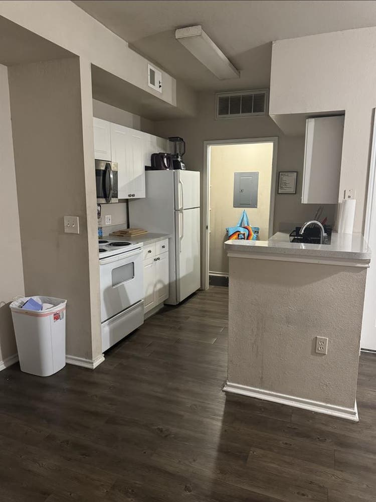 Seeking New Roommatees