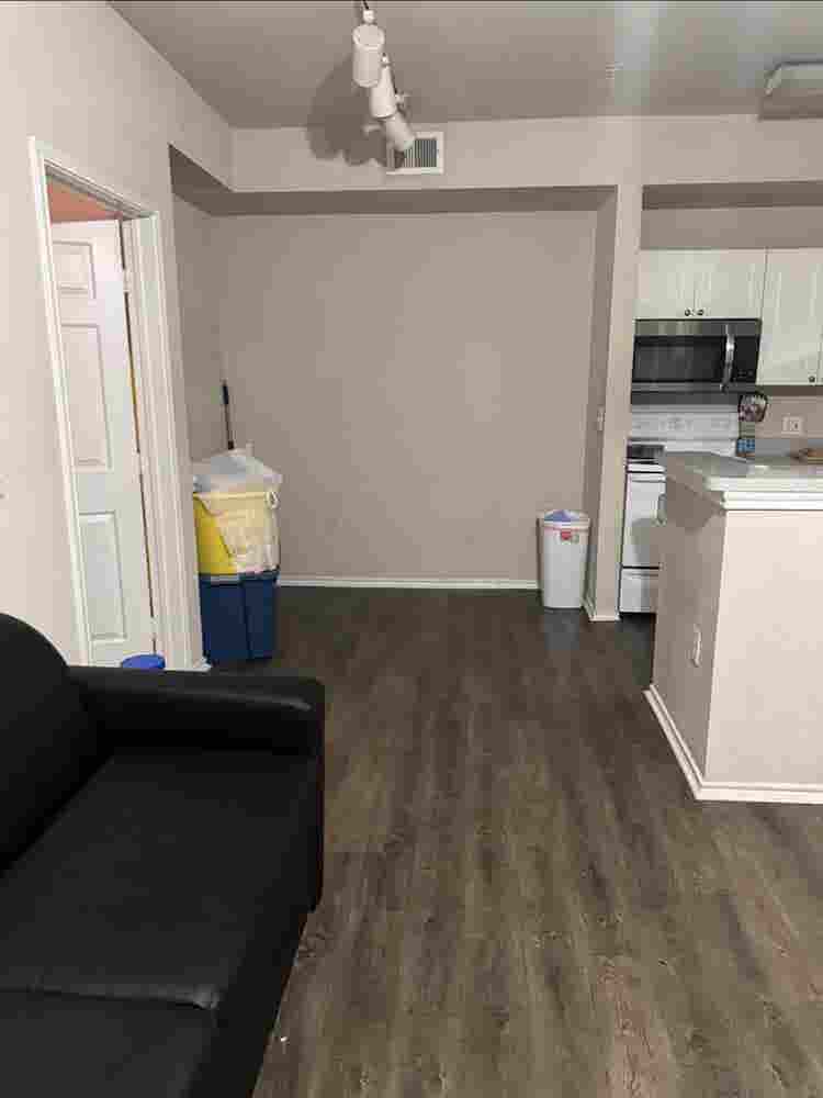 Seeking New Roommatees