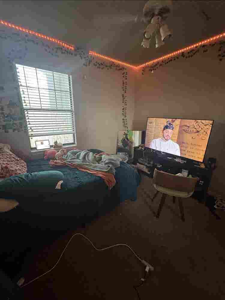 Seeking New Roommatees