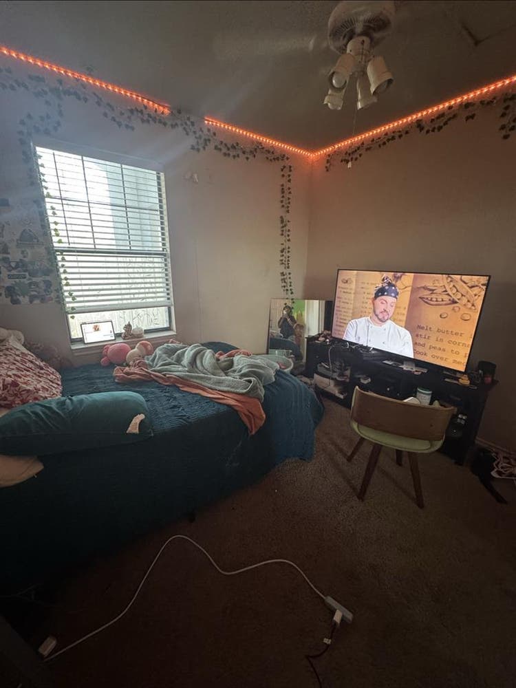 Seeking New Roommatees