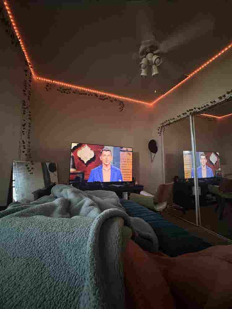 Seeking New Roommatees