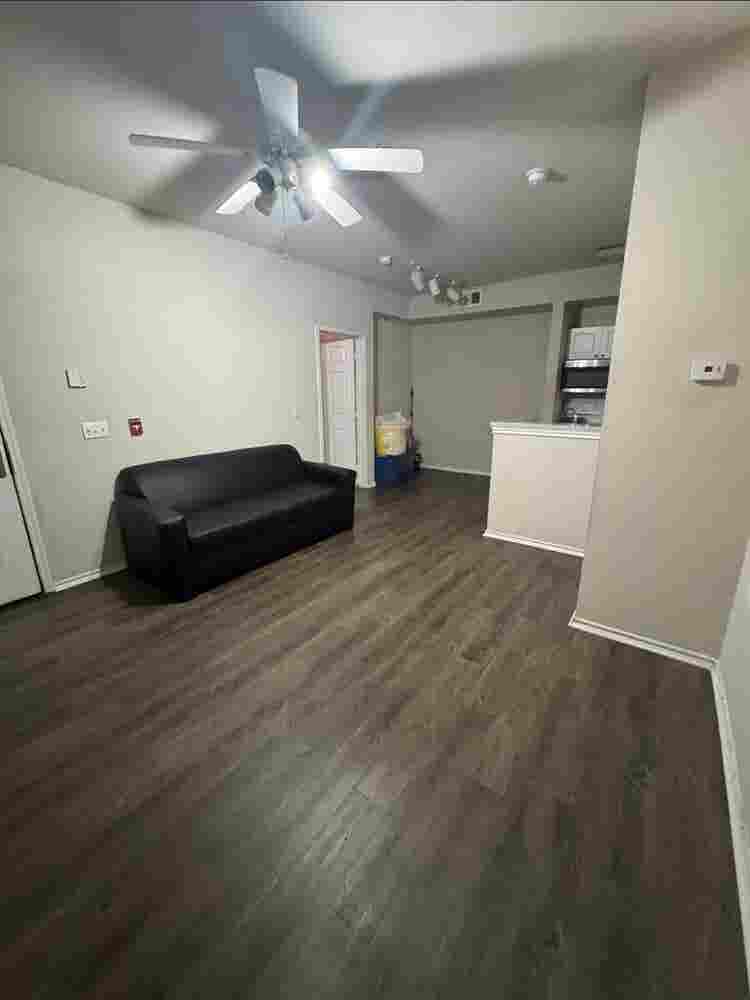 Seeking New Roommatees