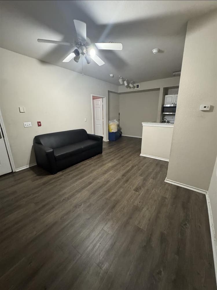 Seeking New Roommatees