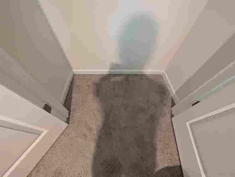 3 BR in Charlotte