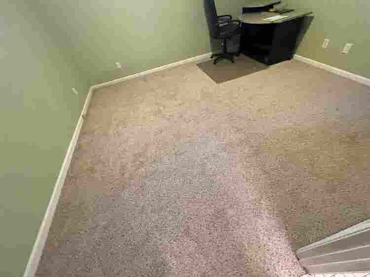 4 BR in Apex
