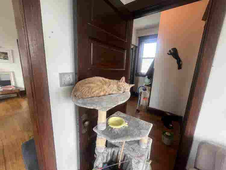 Private Room Huge Logan Square Apt