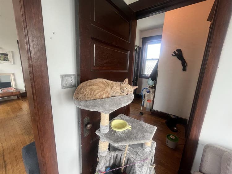 Private Room Huge Logan Square Apt
