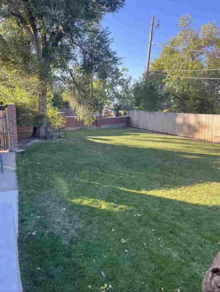 Seeking 1 Roommate Starting Novem