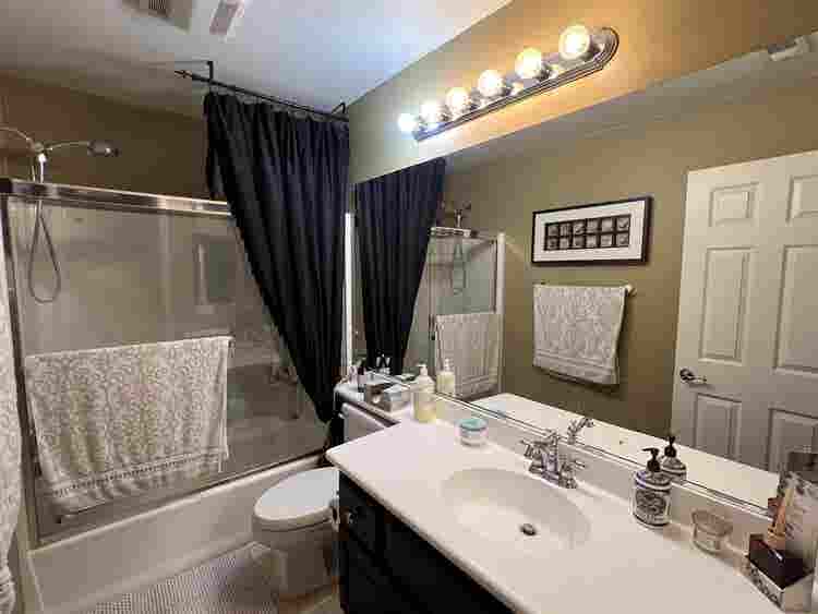 Professional roommate wanted