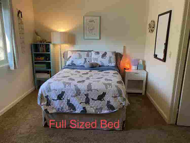 Roommate 1 Bedroom/Shared Bathroom