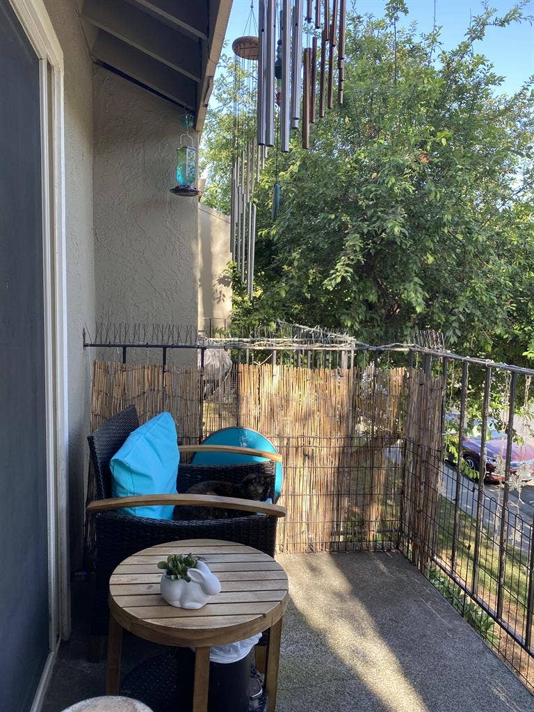 Roommate 1 Bedroom/Shared Bathroom