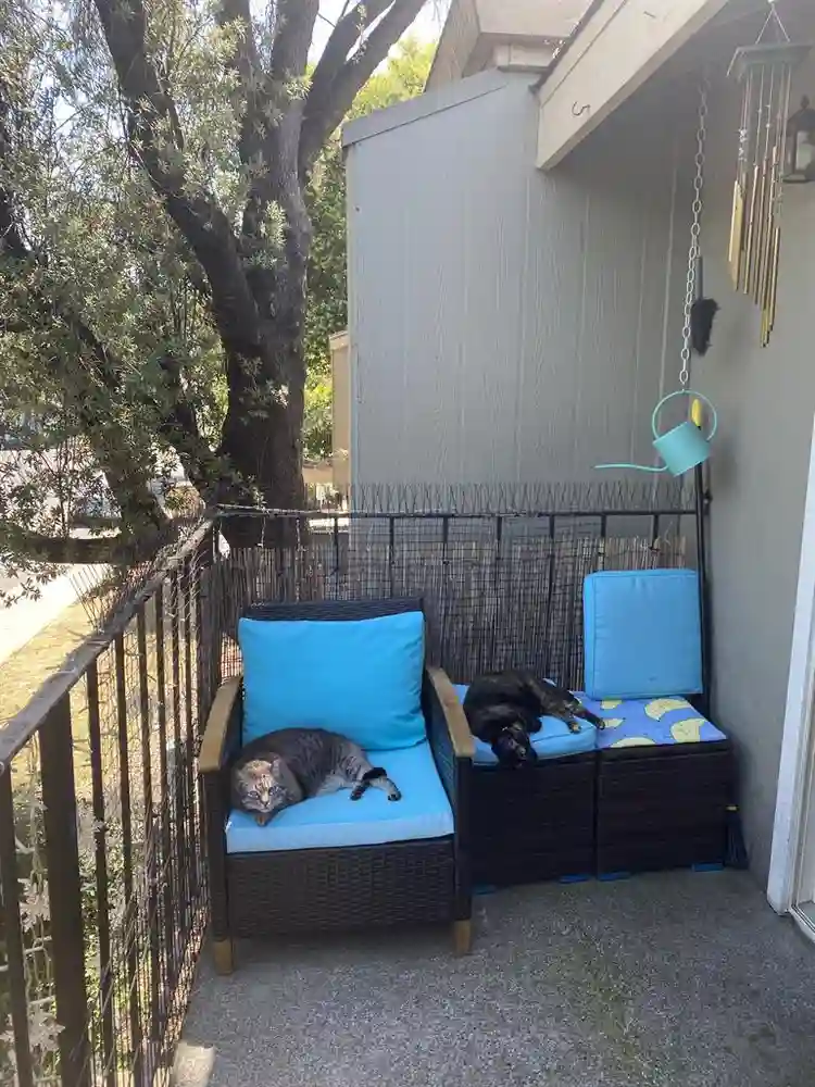 Roommate 1 Bedroom/Shared Bathroom