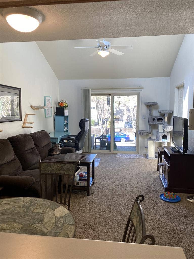 Roommate 1 Bedroom/Shared Bathroom