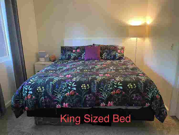 Roommate 1 Bedroom/Shared Bathroom