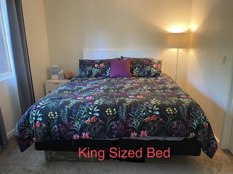 Roommate 1 Bedroom/Shared Bathroom